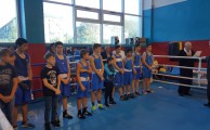 открытое первенство по боксу