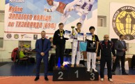 Кубок золотого кольца по тхэквондо (ВТ)